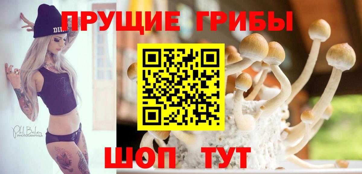 Галлюциногенные грибы мицелий  сколько стоит  Каспийск  Вход с VPN 
